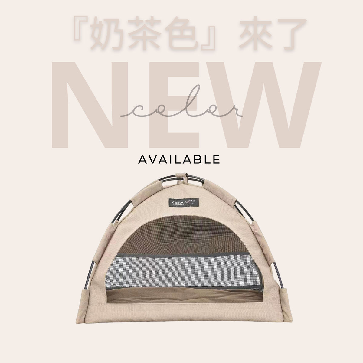 毛毛窩(帳篷)