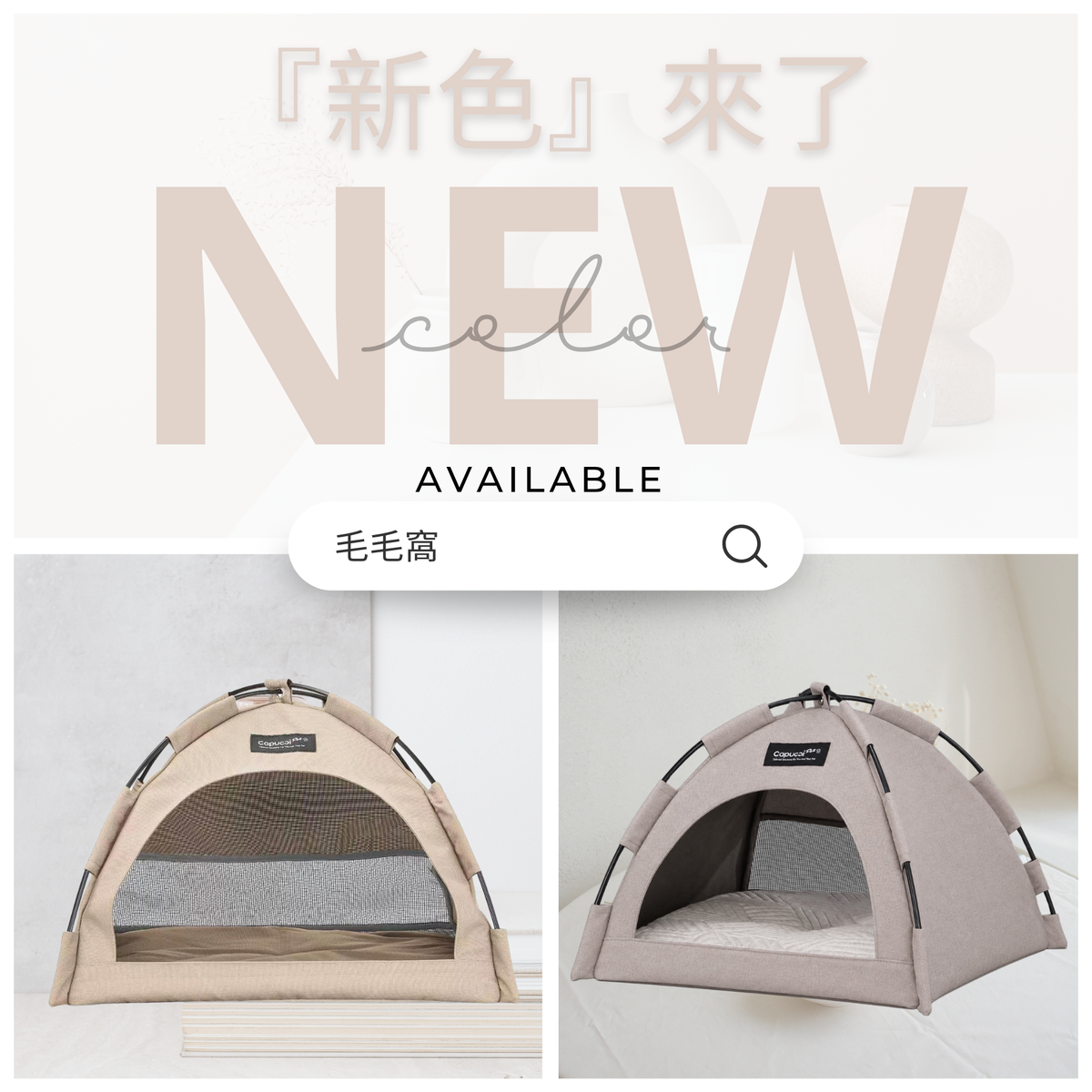 毛毛窩(帳篷)