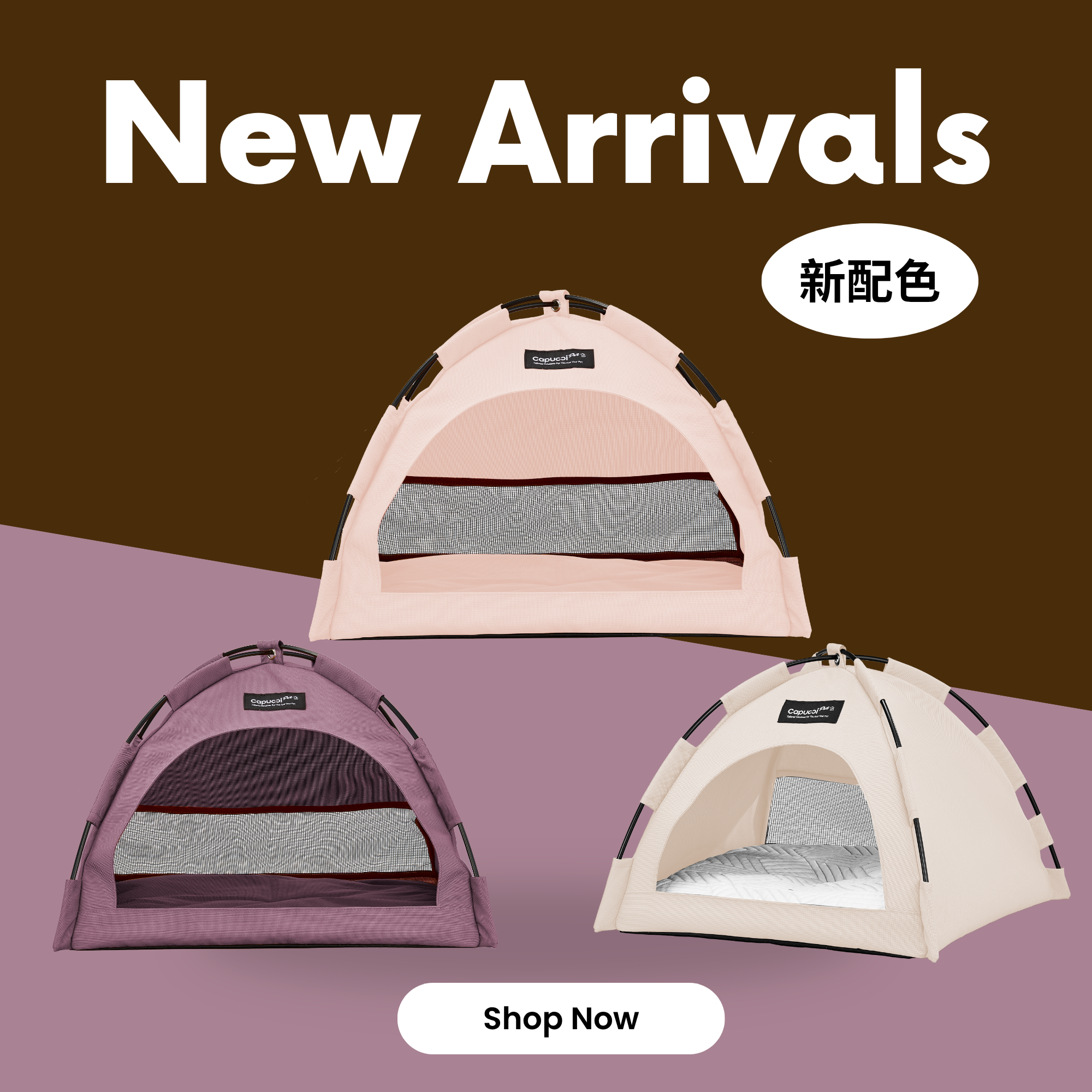 毛毛窩(帳篷)
